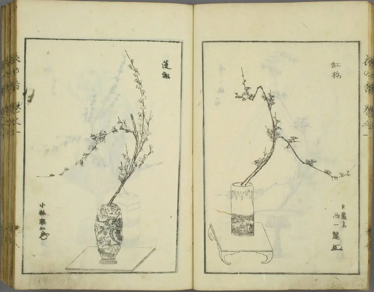 愛用 初編4冊揃 挿花衣之香 h79 享和 正風遠州流 生花図集 貞松斎一馬 